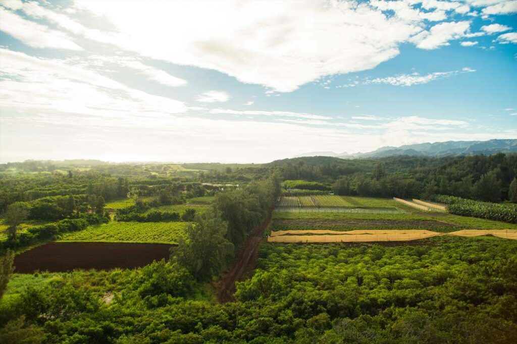 Zipline in Oahu Hawaii CLIMB Works Keana Farms