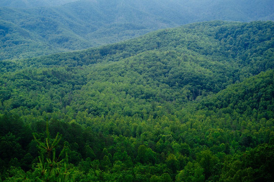 This image portrays Smoky Mountains by CLIMB Works.