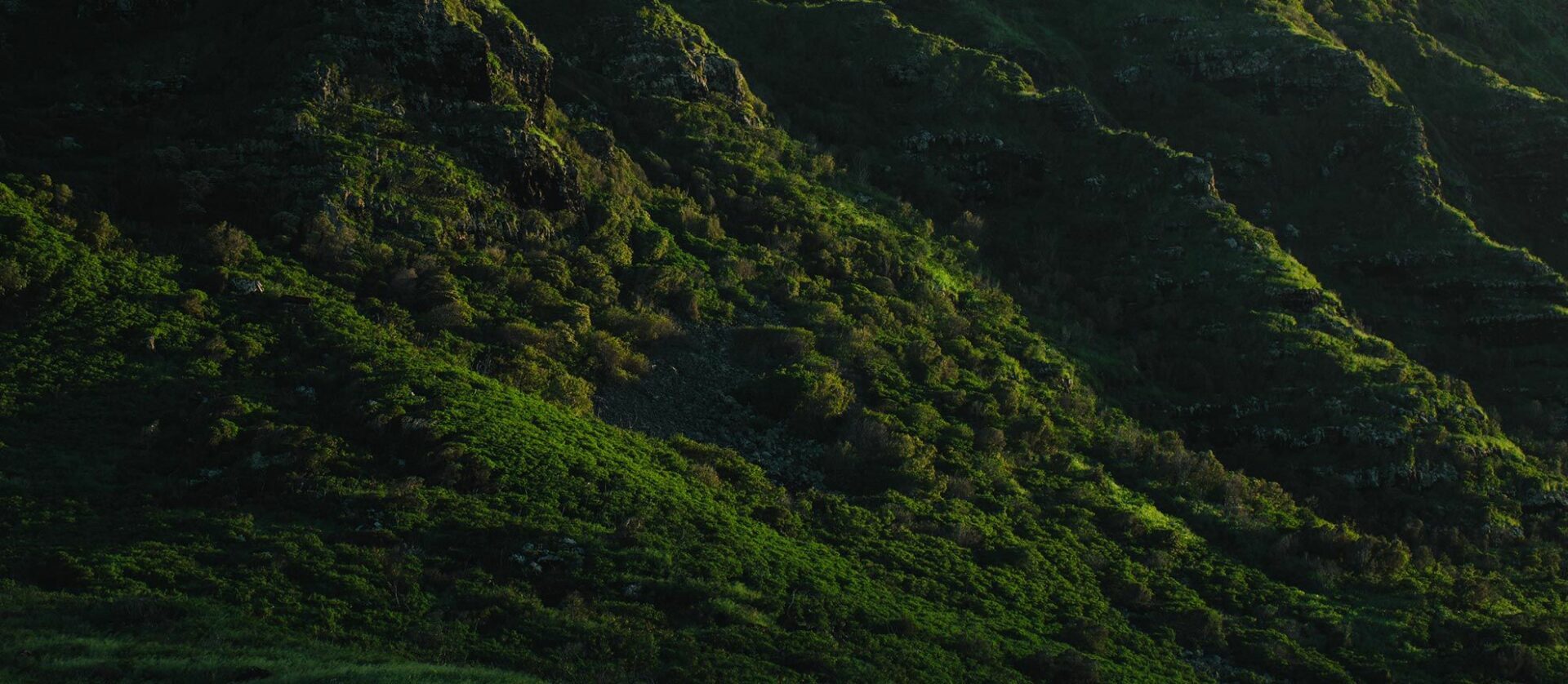 This image is by CLIMB Works.