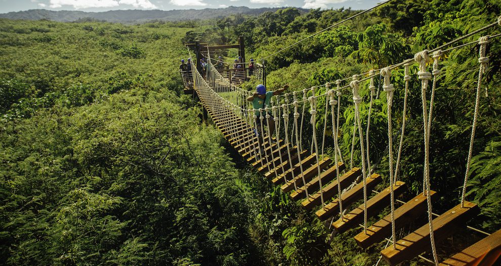 5 Things That Make Our Oahu Ziplines Unique