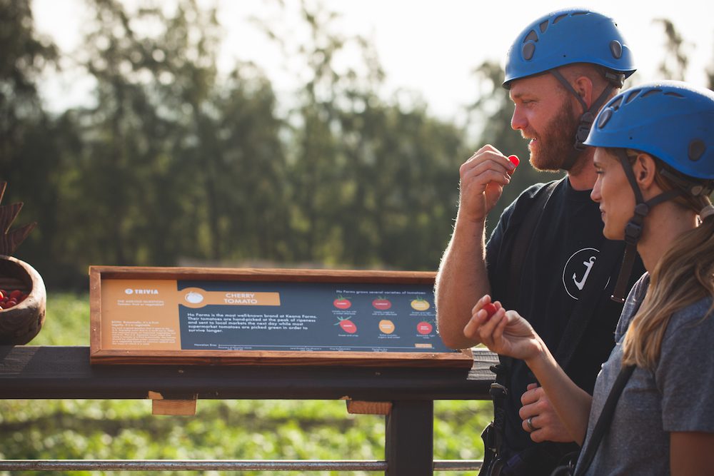 A couple eating cherry tomatoes at our Oahu zipline course.