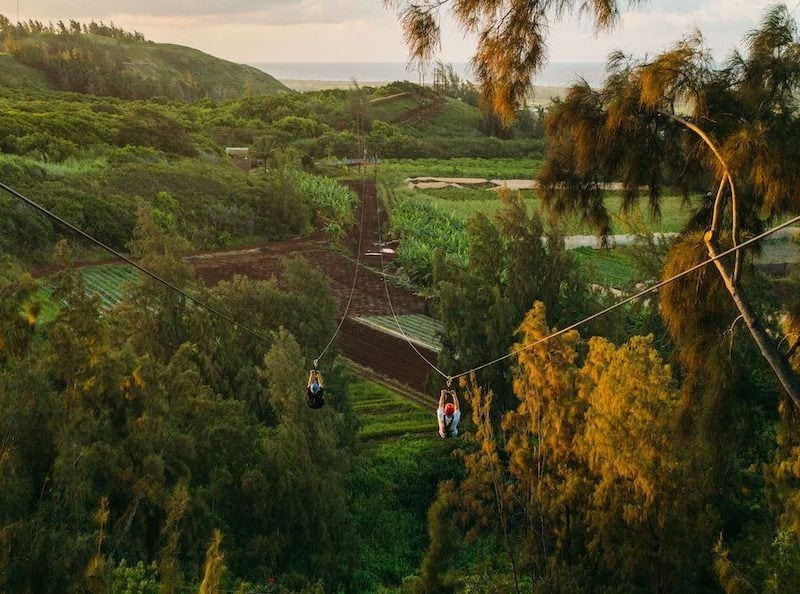 two people ziplining in oahu