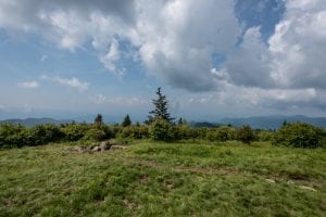 Andrews Bald in the Smoky Mountains