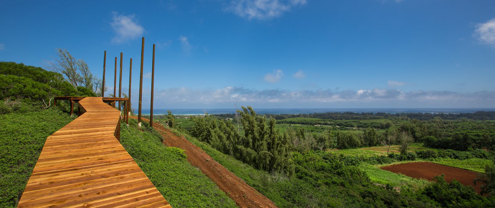 5 Reasons to Try Our Oahu Zipline Tour for the First Time