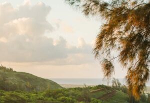 Oahu scenery