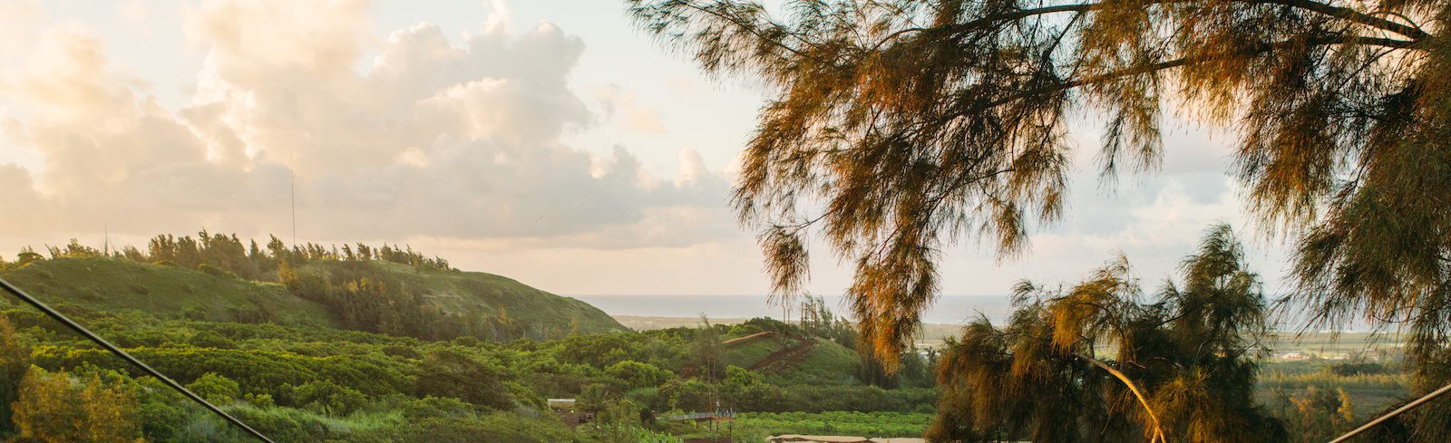 Top 4 Reasons You Should Make Reservations to Experience Our Oahu Ziplines