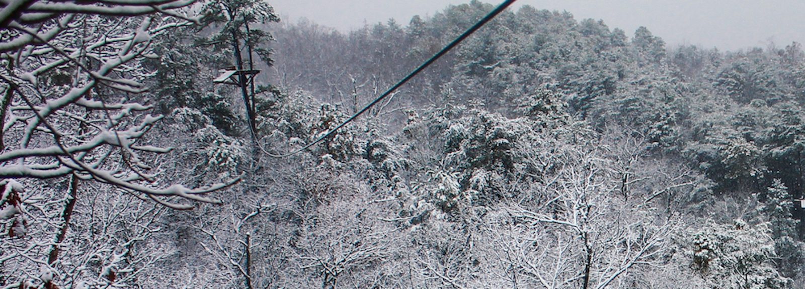 5 Best Winter Hikes in the Smoky Mountains for You to Try