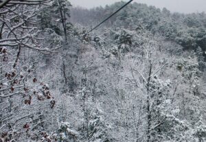 Smoky Mountains in the winter