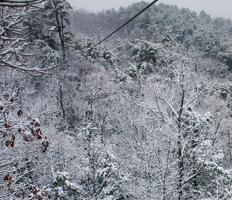 Smoky Mountains in the winter