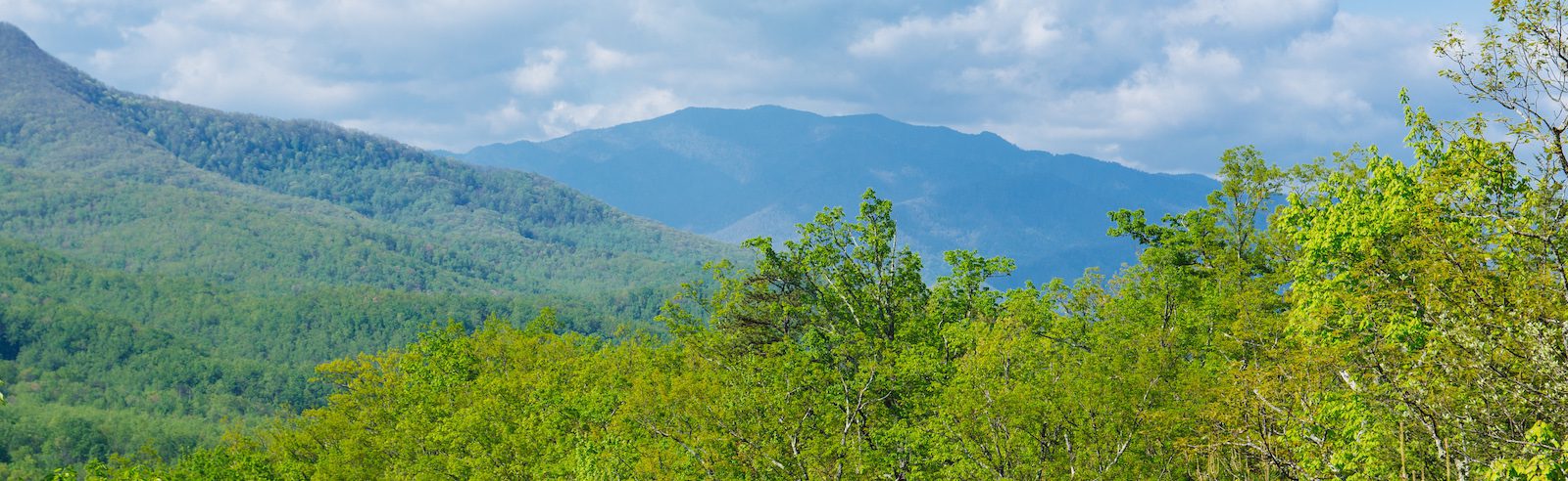 Top 5 Smoky Mountain Hikes You Have to Try