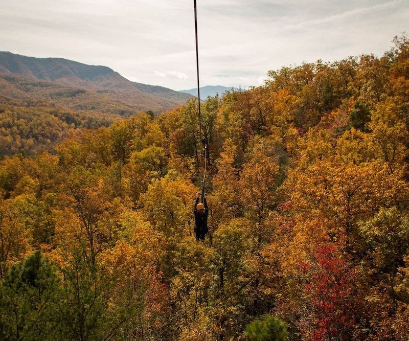 ziplining in fall in smoky mountains