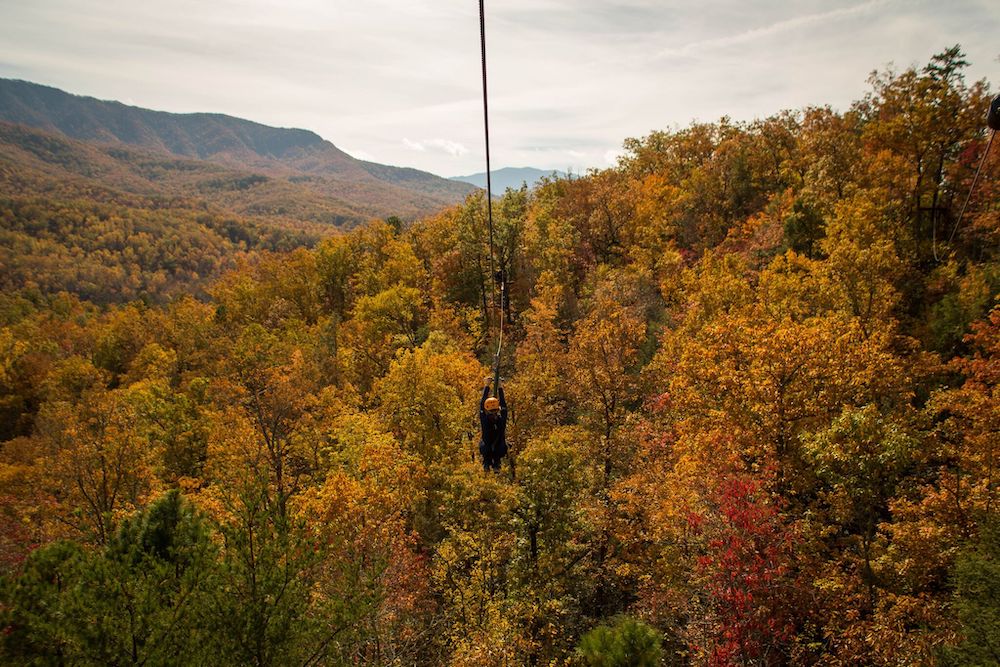 ziplining in fall in smoky mountains