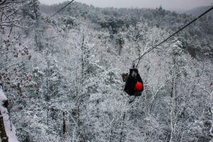ziplining in the winter