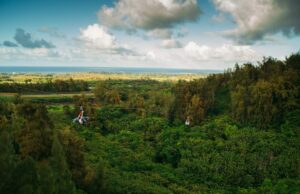 friends ziplining in oahu