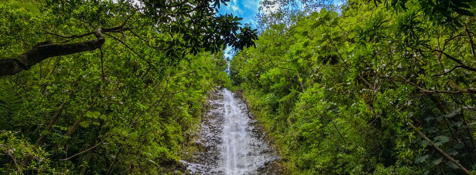 5 of the Best Hikes in Oahu With Waterfalls You Have to Try