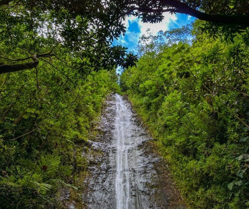 manoa falls