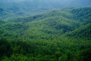 smoky mountain scenery
