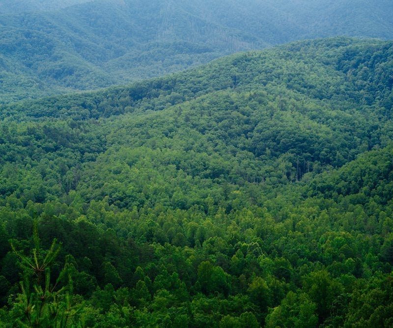 smoky mountain scenery