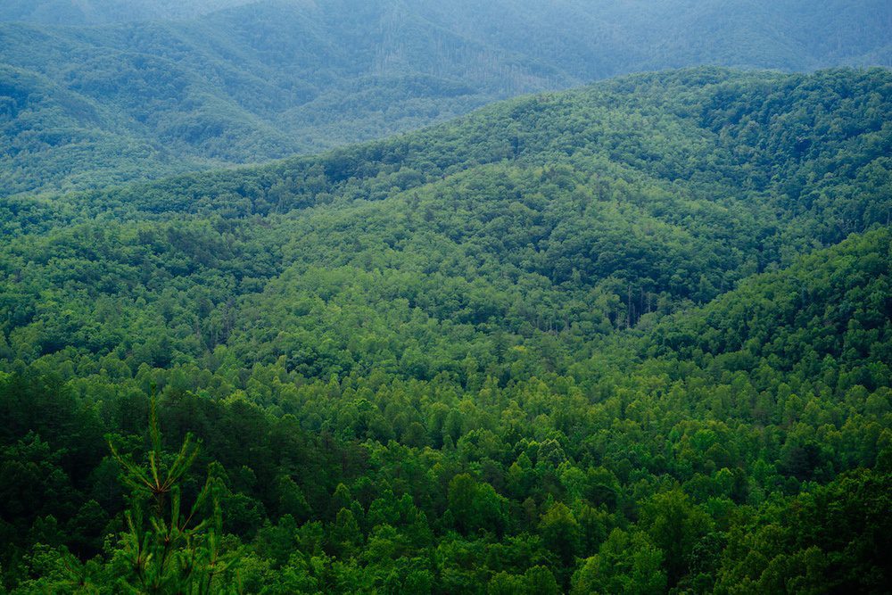smoky mountain scenery