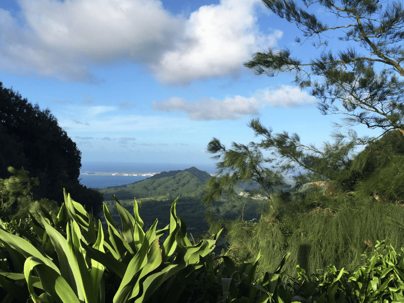 view of the oahu coastline from the mountains above full of plants