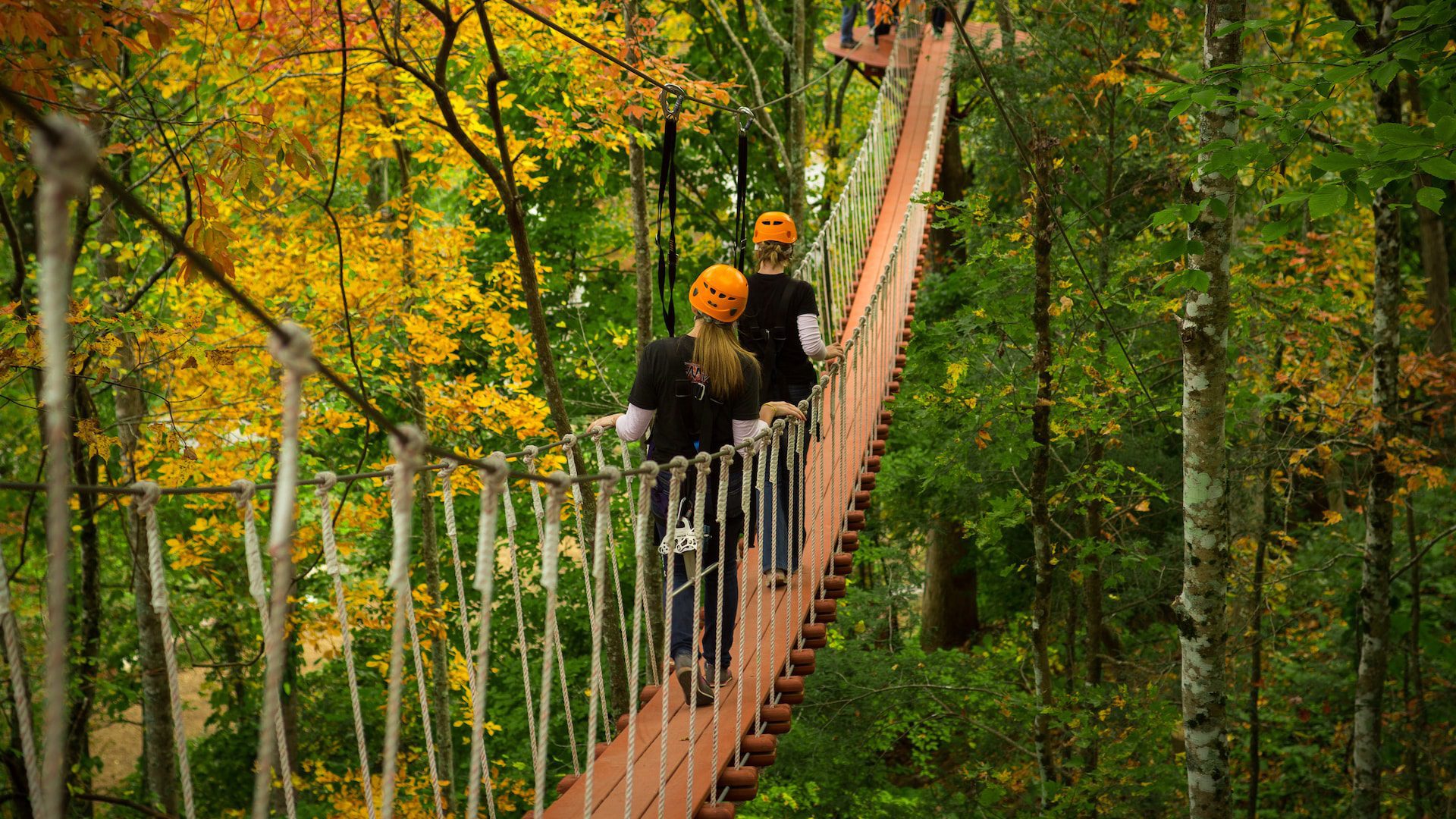 zipline tours gatlinburg tn