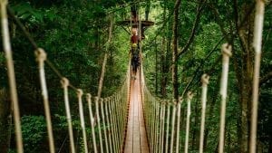 CLIMB Works