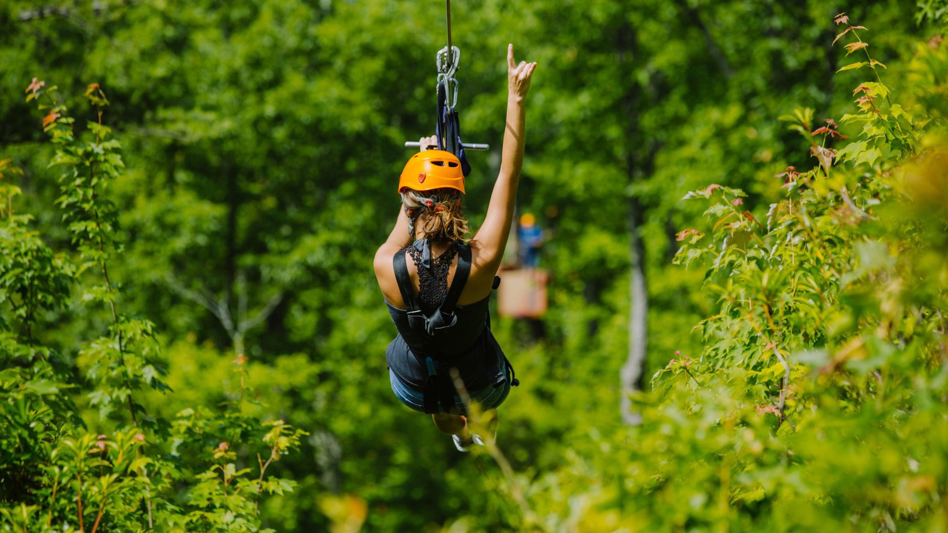 smoky mountain ziplines canopy tour