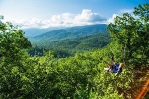 tree top view zipline