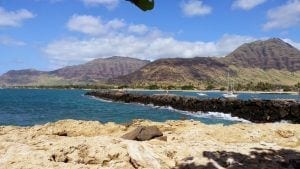 pokai beach in oahu hawaii