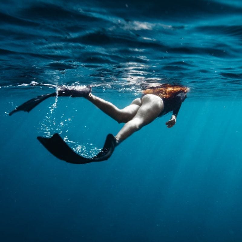 This image portrays Diving & Snorkeling on the North Shore by CLIMB Works.