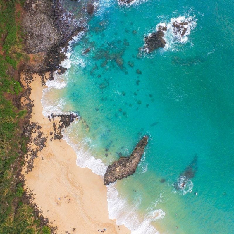 This image portrays Exploring Waimea from Above to Below the Sea by CLIMB Works.