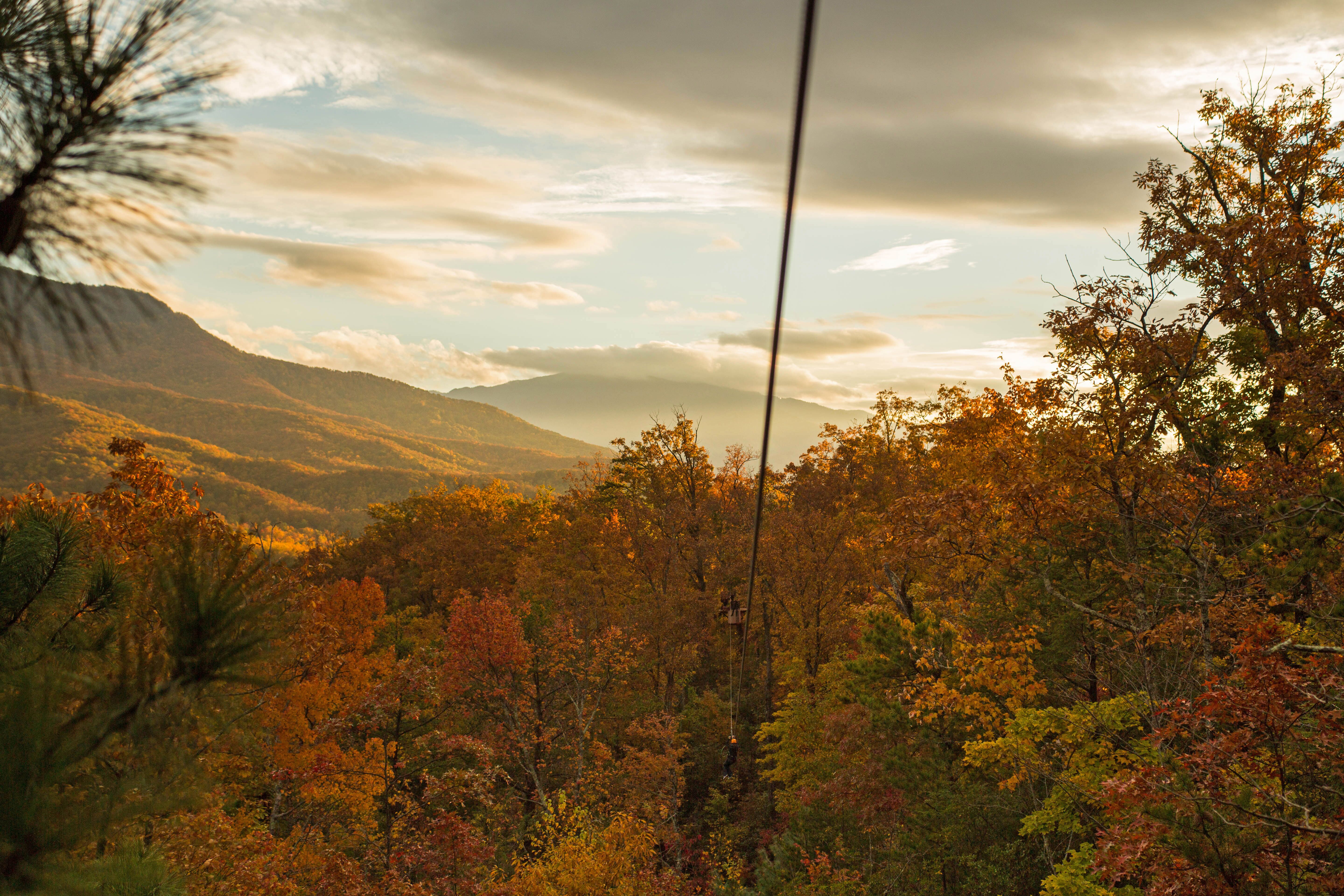 Top 4 Reasons to Join Our Smoky Mountain Zipline Tours in the Fall