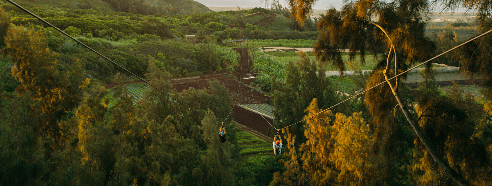 Top 4 Reasons Oahu’s North Shore is the Perfect Place to Go Ziplining in Hawaii