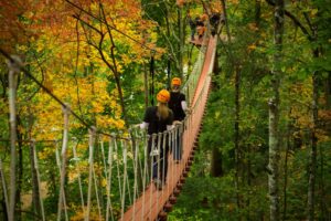 sky bridge in the smoky mountains