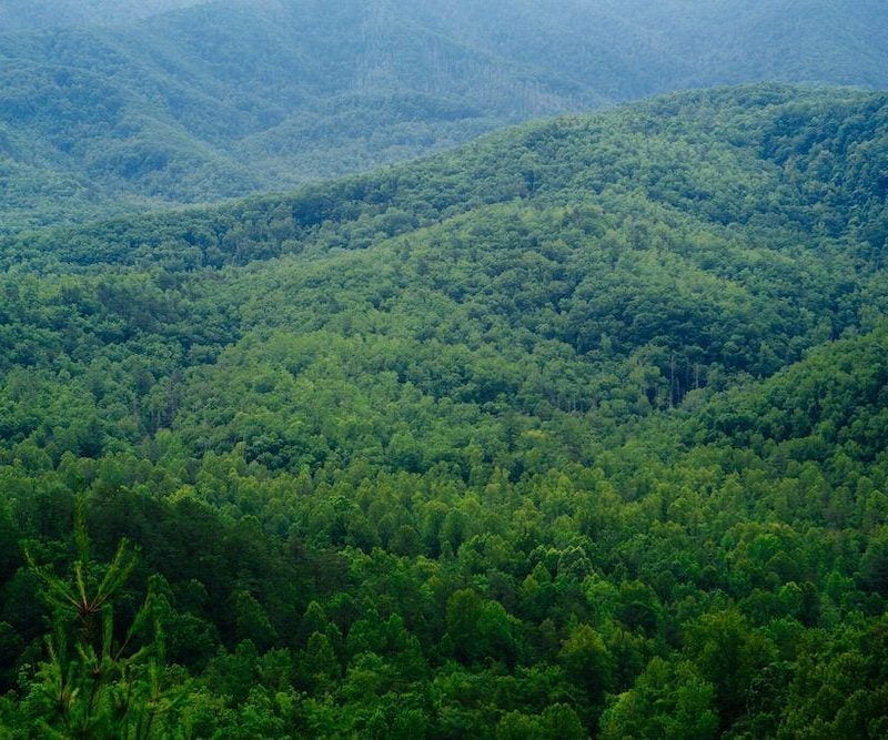 smoky mountains from ziplines