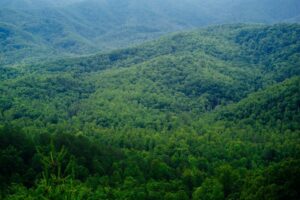 view of the smoky mountains