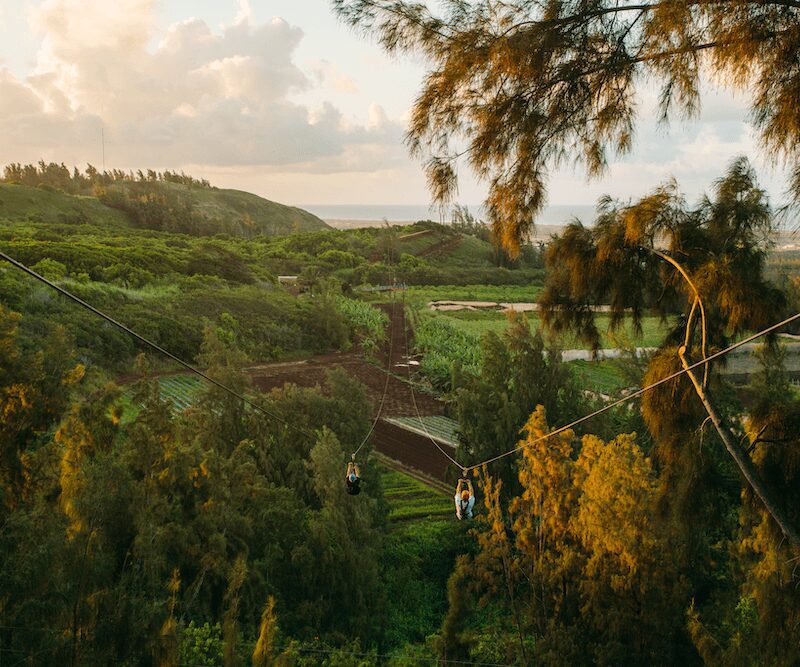 ziplining in oahu