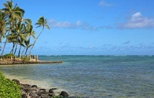 punaluu beach park on oahu