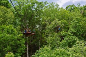ziplining in the smoky mountains