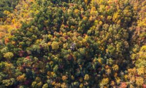 aerial view of a climb works platform surrounded by fall foliage
