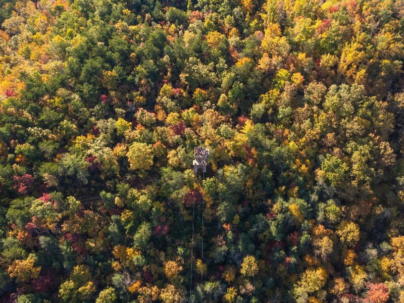 aerial view of a climb works platform surrounded by fall foliage