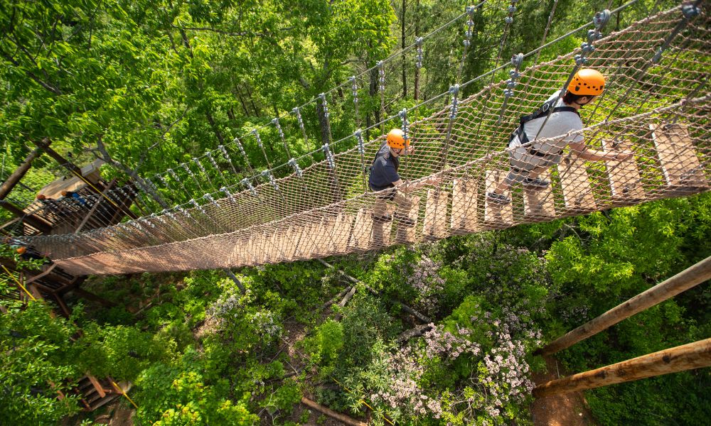 CLIMB Works