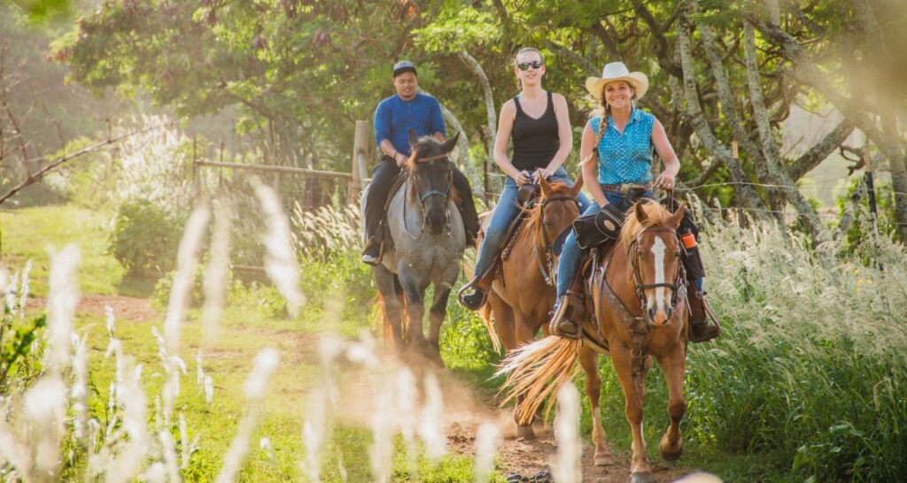 A guide leas a couple on a horse ride through a blooming field at Gunstock Ranch