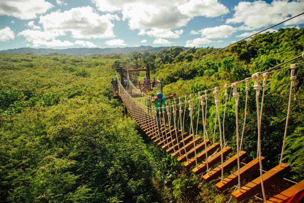 A man tries his balance across a high-flying skybridge in the treetops of Hawaii