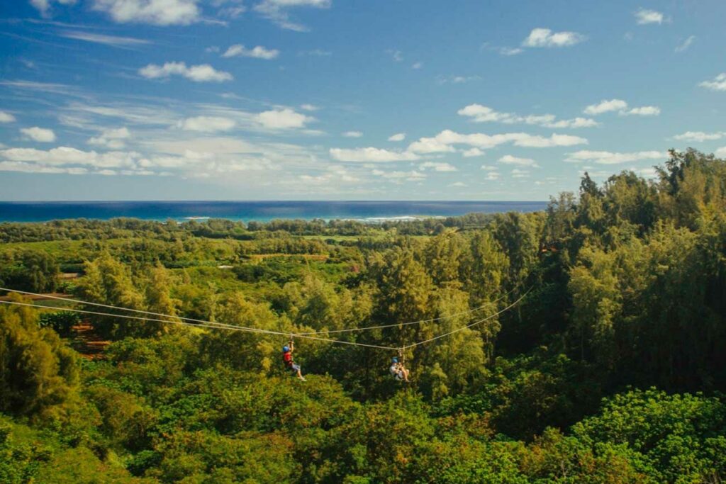 Zipliners cross a scenic valley between lush hillsides with views of the North Shore