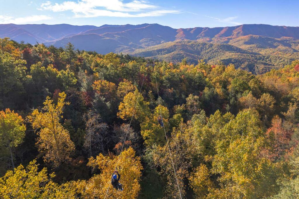 Zipliners cross above fall colored trees on dual ziplines in the Smoky Mountains