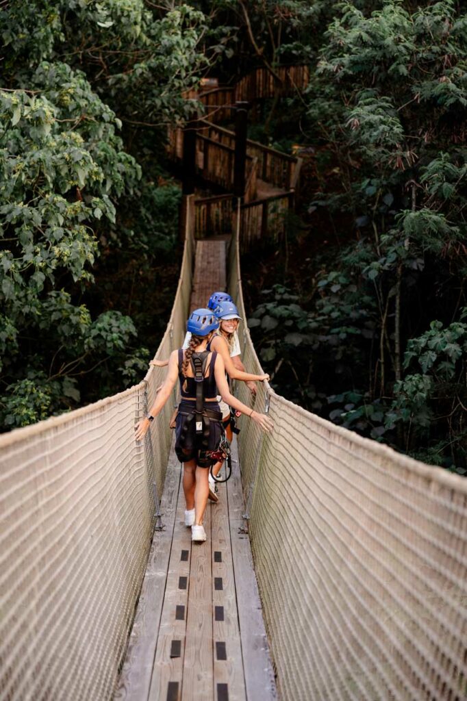 A group of young travelers look back as they cross a skybridge at CLIMB Works that enters a deep green jungle