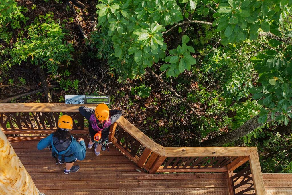 An arial view of visitors exploring the natural landscape and learning about the habitat on informational plaques