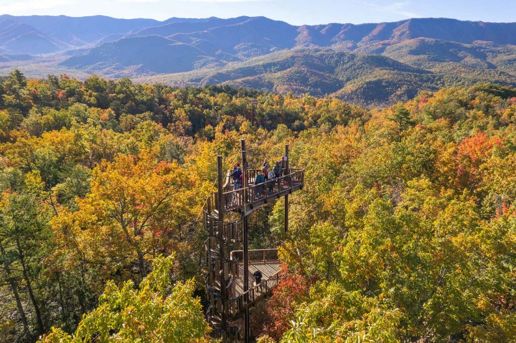 Guests stand on top of a zipline platform surrounded by fall colors and foliage in the Smoky Mountains