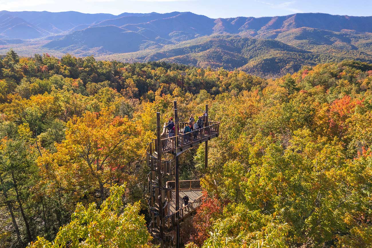 Guests stand on top of a zipline platform surrounded by fall colors and foliage in the Smoky Mountains